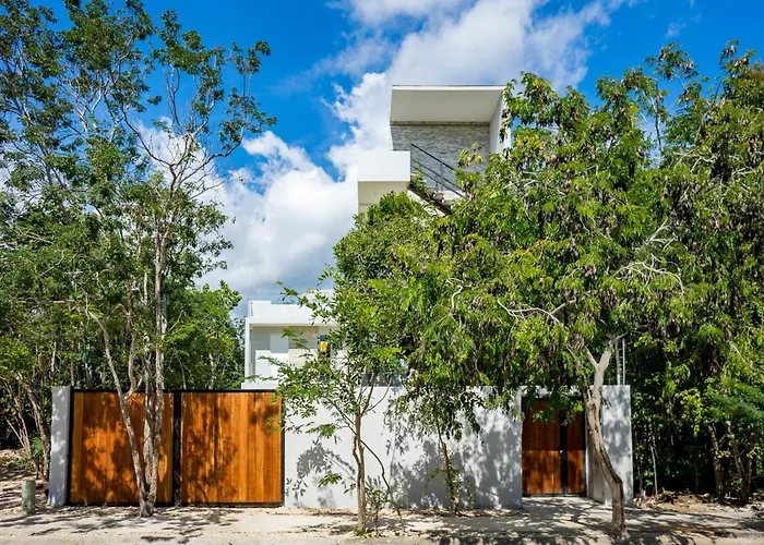 Villa G , With Palapa In *